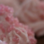 cropped-IMG_0059.jpg