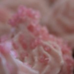 cropped-IMG_00591.jpg