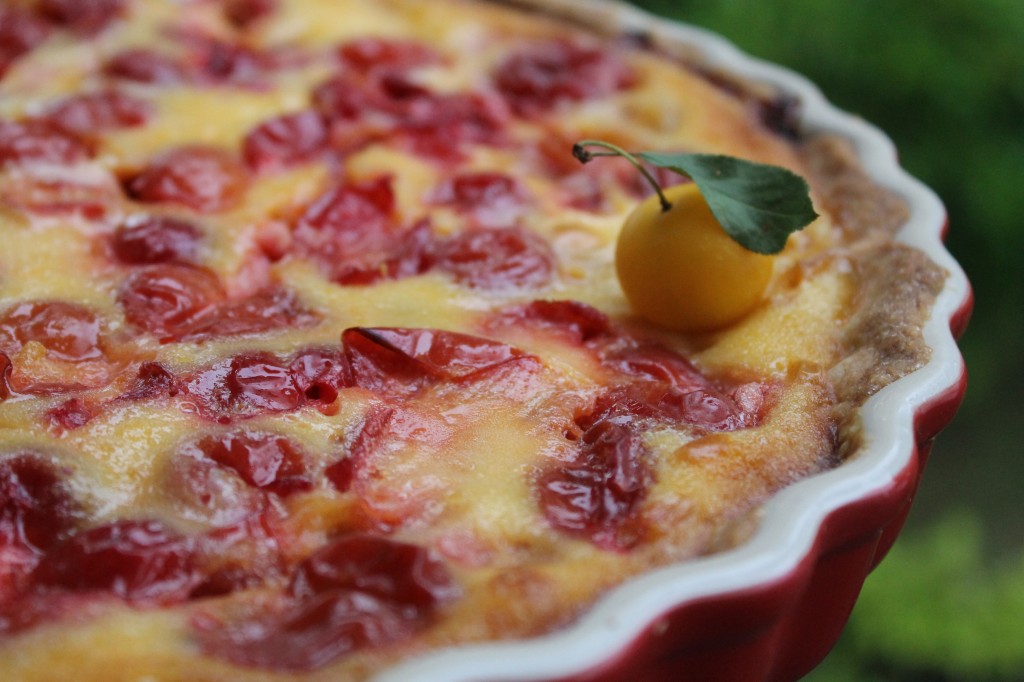 Mirabellen-Tarte | cuplovecake