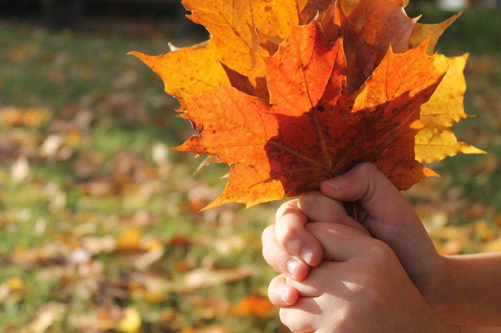 Herbstspaziergang | cuplovecake