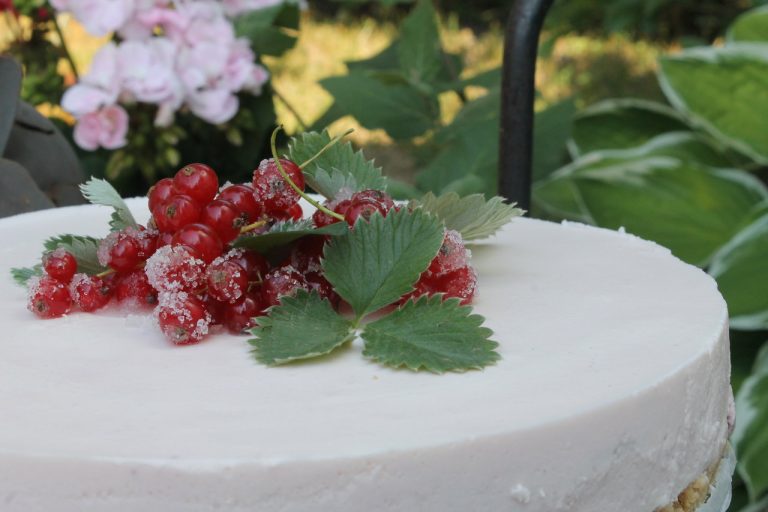 Johannisbeer-Quark-Torte | cuplovecake