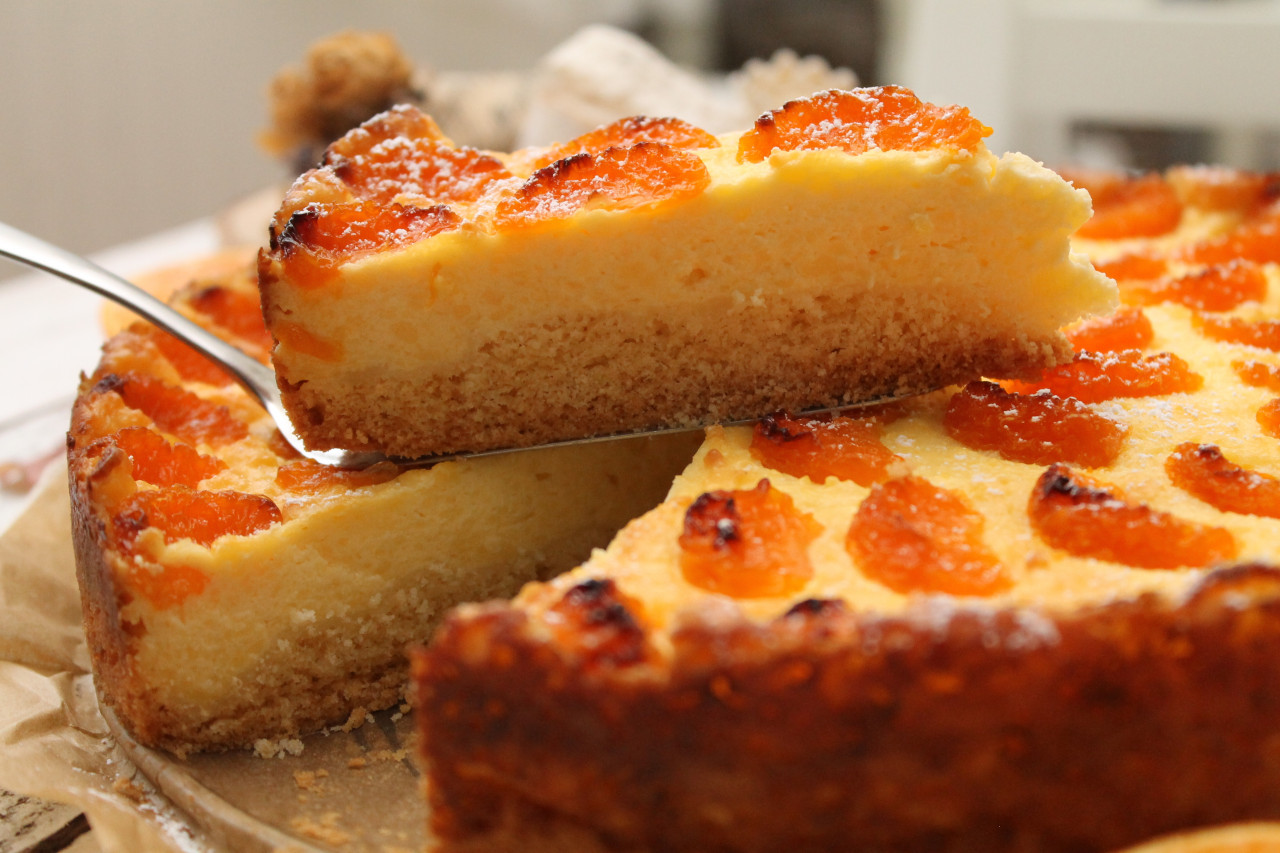 Schmandtorte Mit Mandarinen Und Vanillepudding - Rezepte Suchen